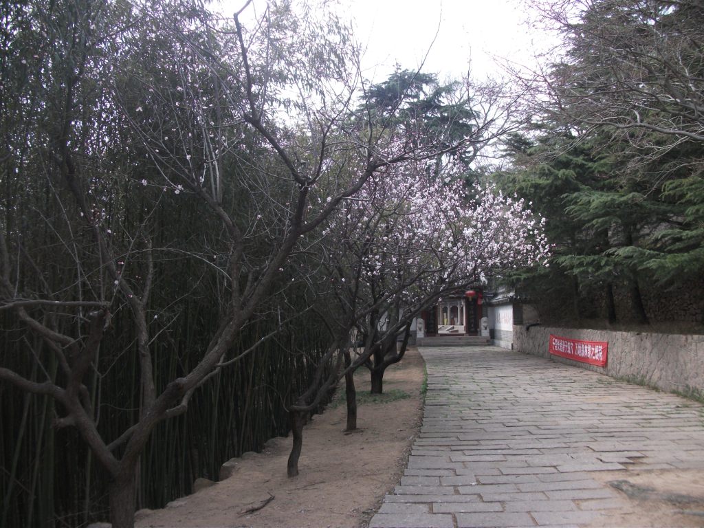 DSCF5670.JPG