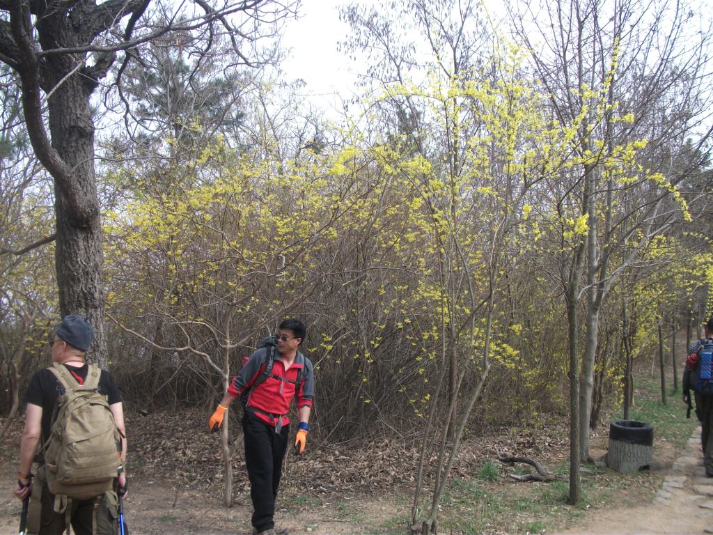 DSCF5679.JPG