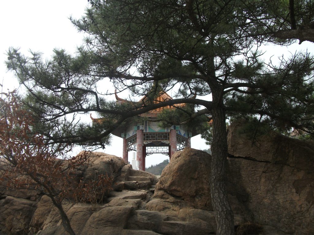 DSCF5698.JPG