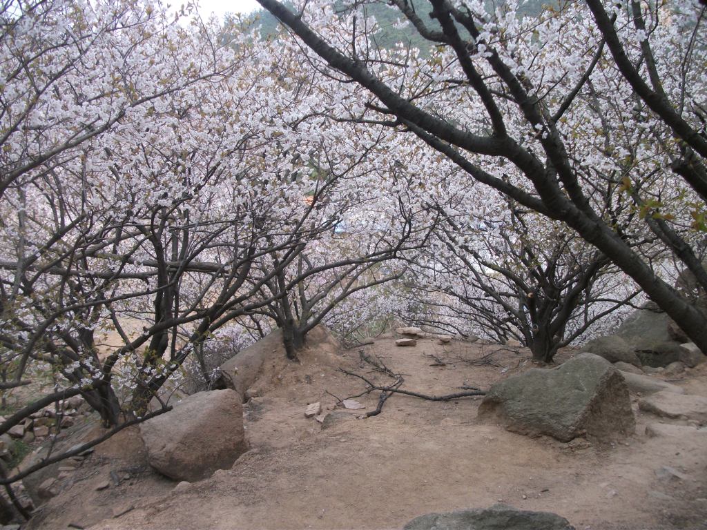 DSCF5703.JPG
