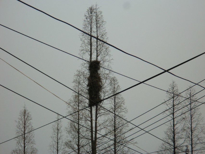 QQ图片20140331143504.jpg