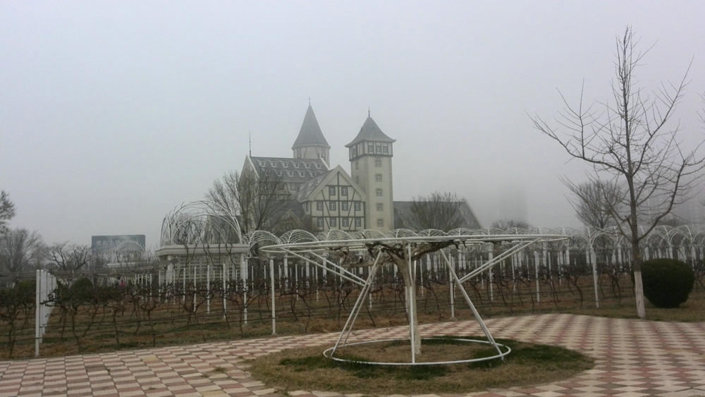 IMG_20140329_102418.jpg