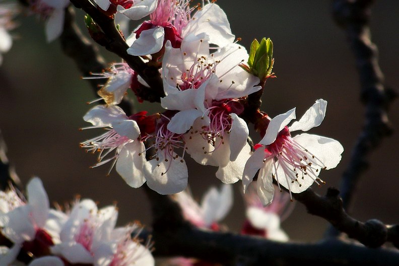 100_8370_缩小大小.JPG