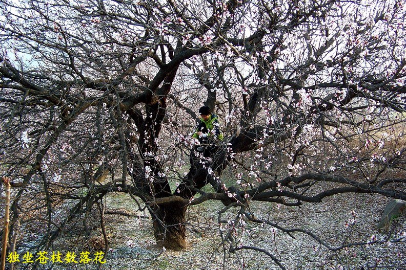 100_8409_缩小大小.JPG