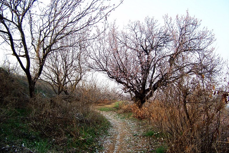 100_8410_缩小大小.JPG