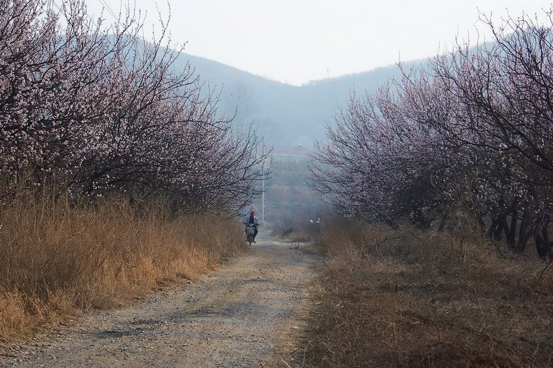 100_8422_缩小大小.JPG
