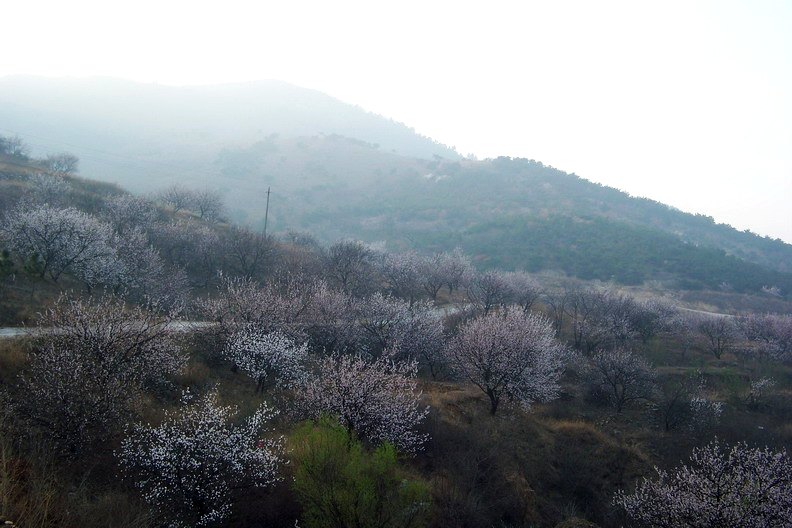 100_8423_缩小大小.JPG