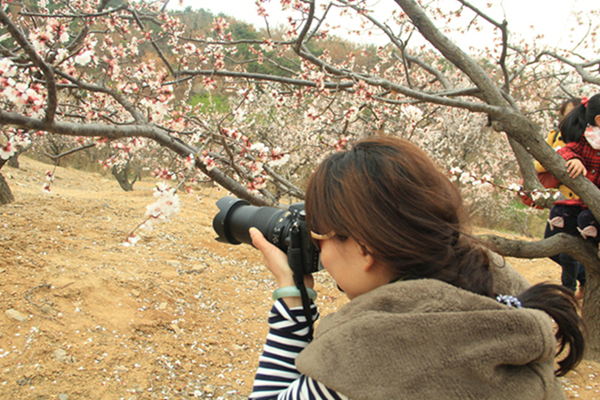 杏花谷 191.jpg