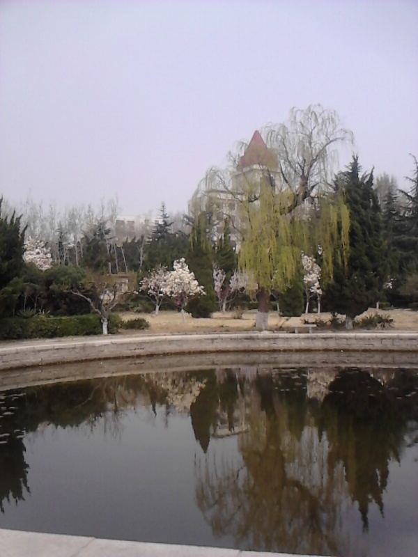 IMG_20140402_115733.jpg