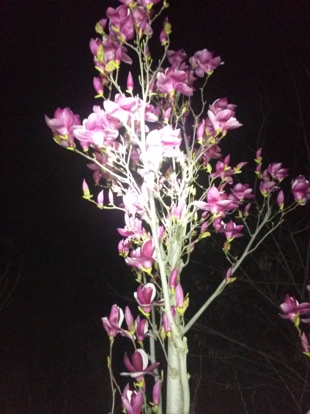 20140221_110704.jpg