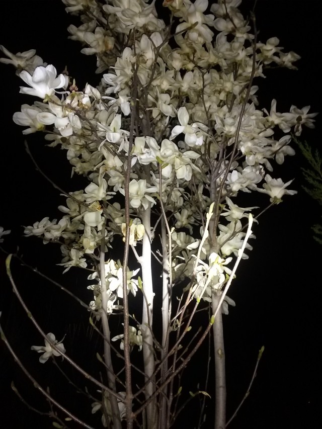 20140225_085543.jpg