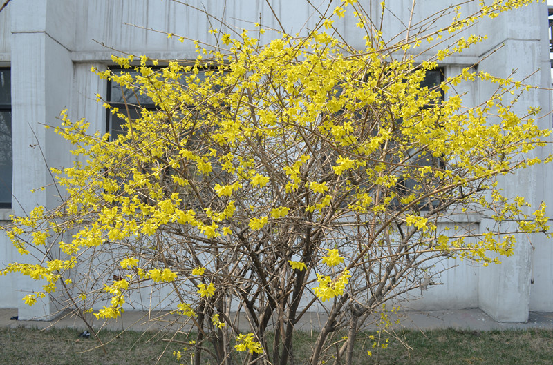 DSC_0283_副本.jpg
