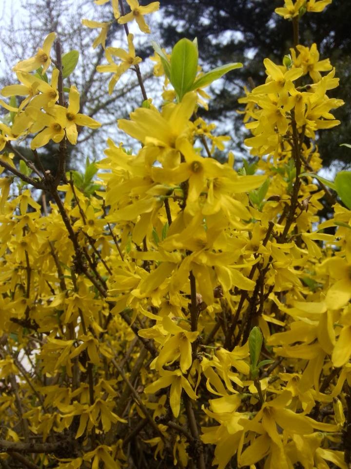 QQ图片20140403152115.jpg