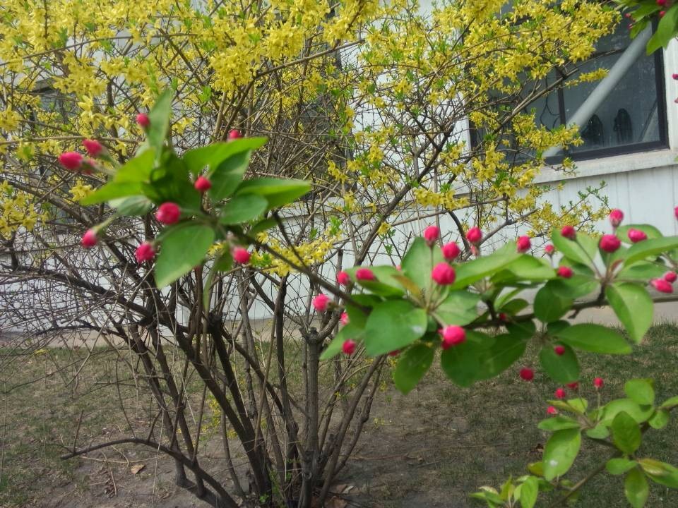 QQ图片20140403152303.jpg