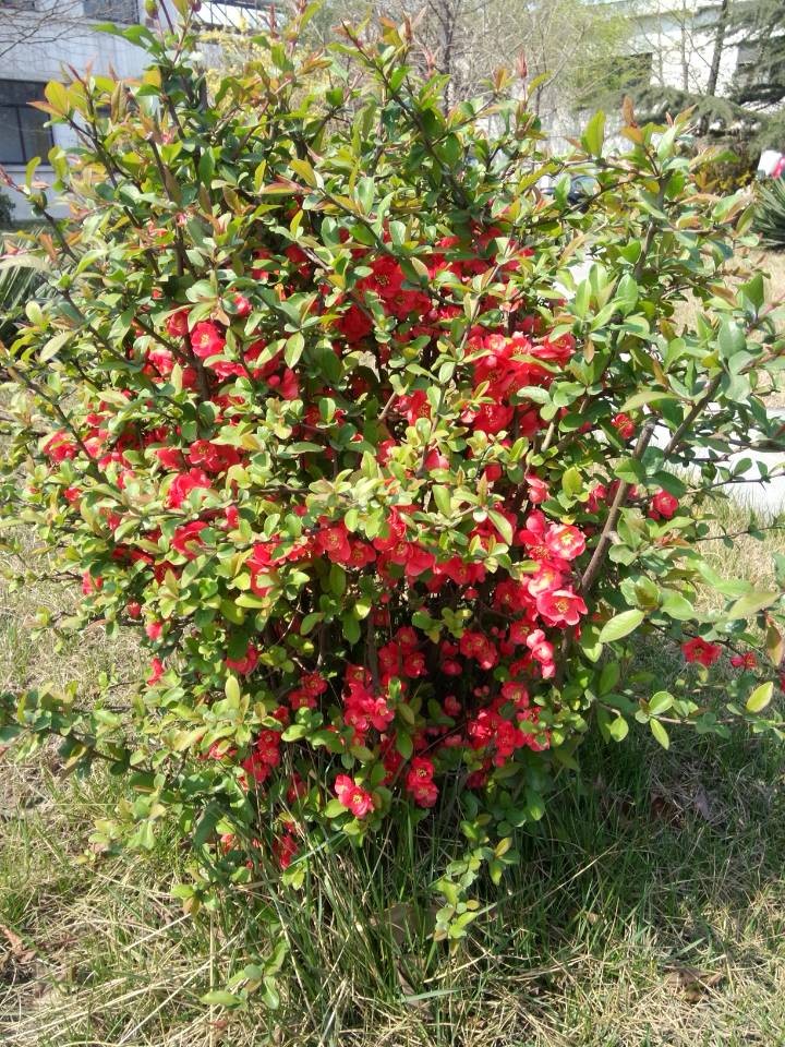 手机拍摄