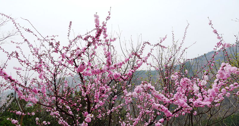 P1060621_副本_副本.jpg