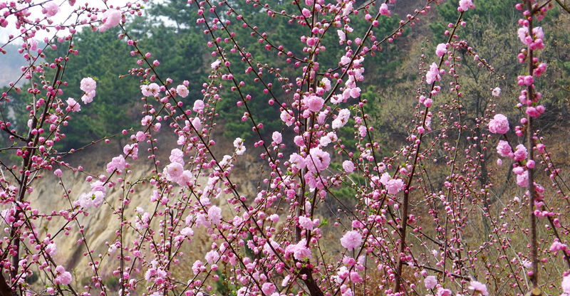 P1060642_副本_副本_副本.jpg