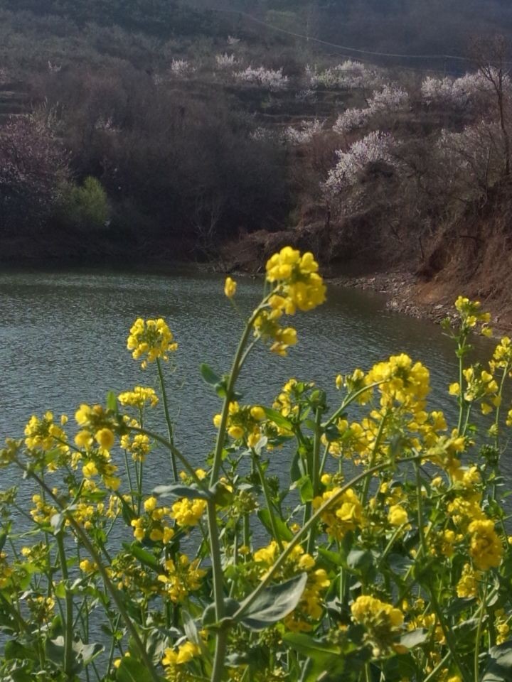 QQ图片20140405120548.jpg