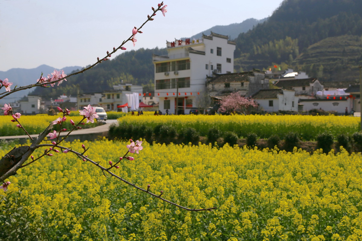 IMG_0244_副本.jpg