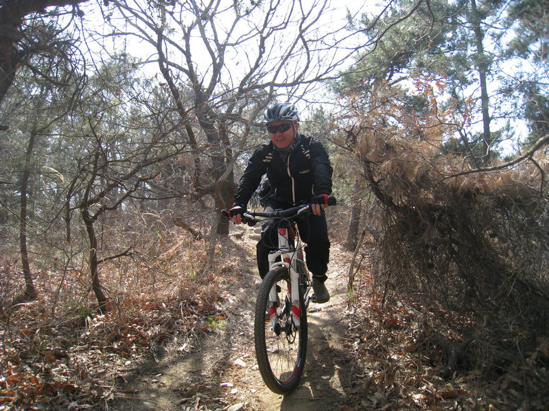 IMG_3831.jpg