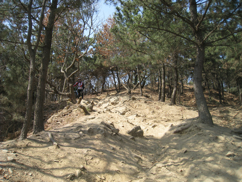 IMG_3836.jpg