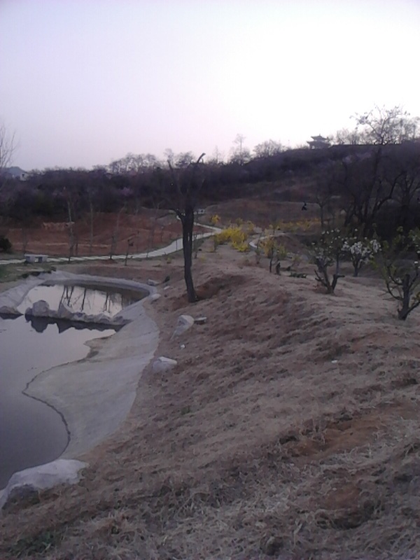 IMG_20140408_180210.jpg