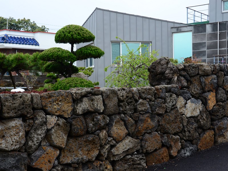 PhotoCap_204.jpg