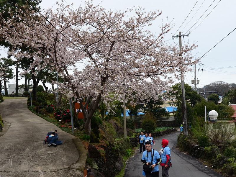 PhotoCap_210.jpg