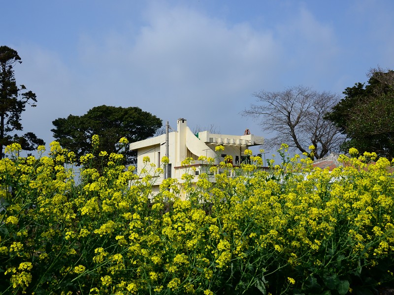 PhotoCap_256.jpg