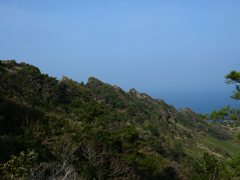 PhotoCap_280.jpg