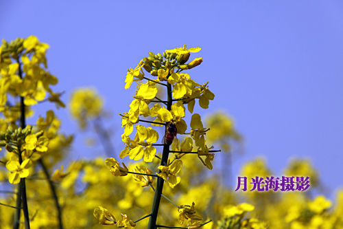 IMG_4374.JPG