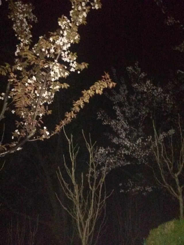 20140221_110254.jpg