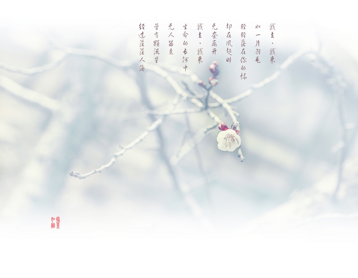 nEO_IMG_IMG_0295.jpg