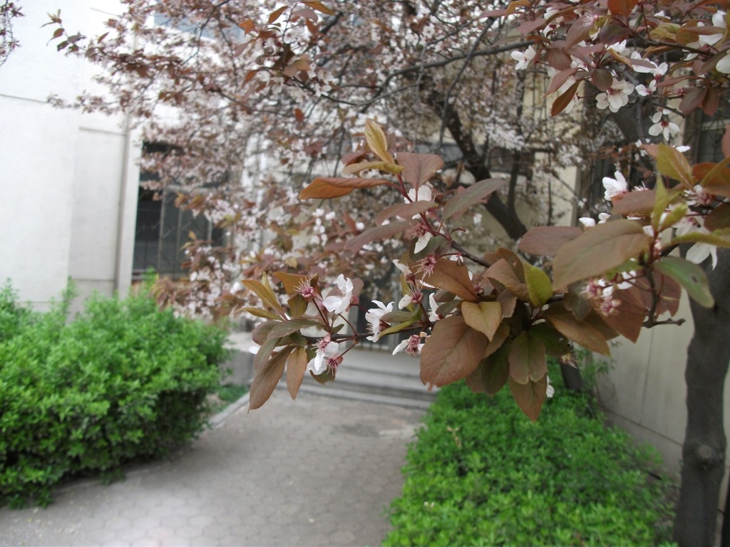 DSCF5720.JPG