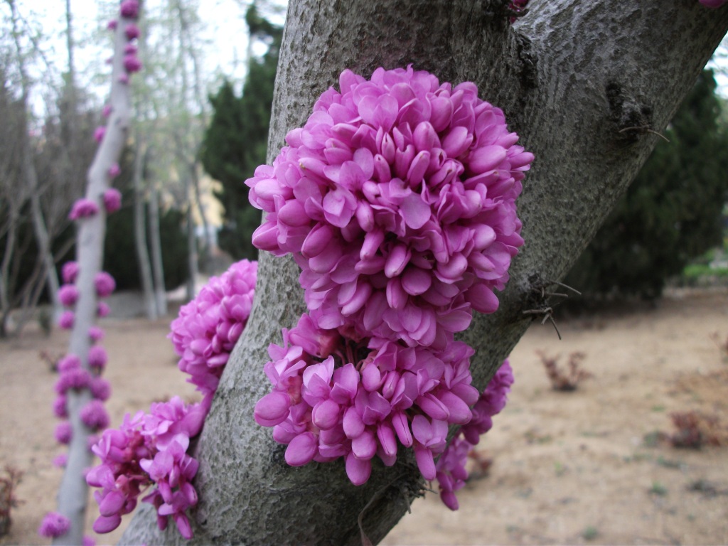 DSCF5722.JPG