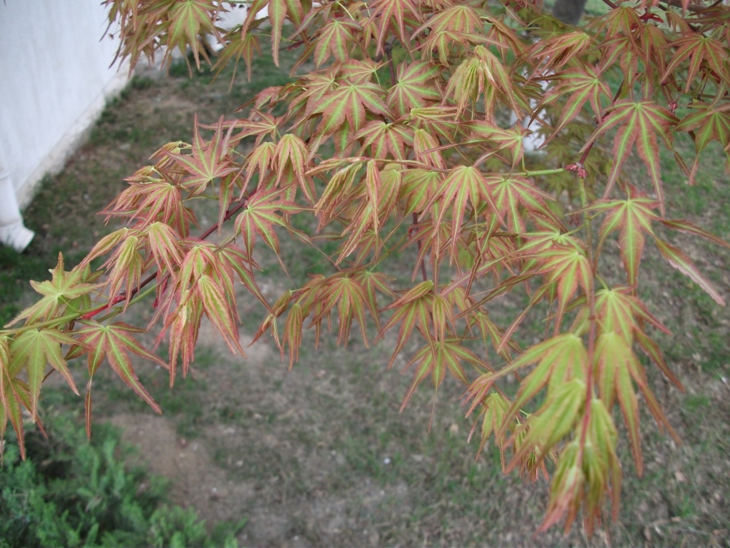DSCF5725.JPG