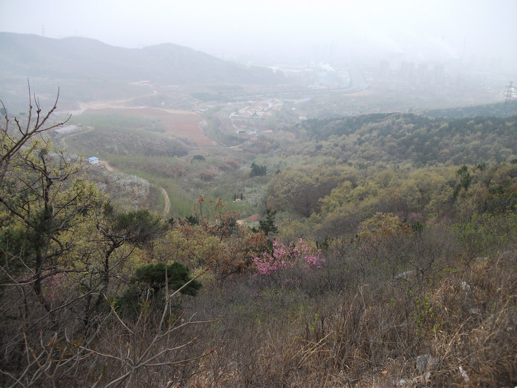 DSCF5748.JPG
