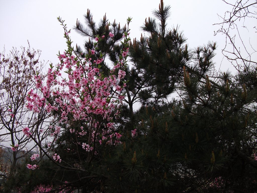 DSCF5752.JPG