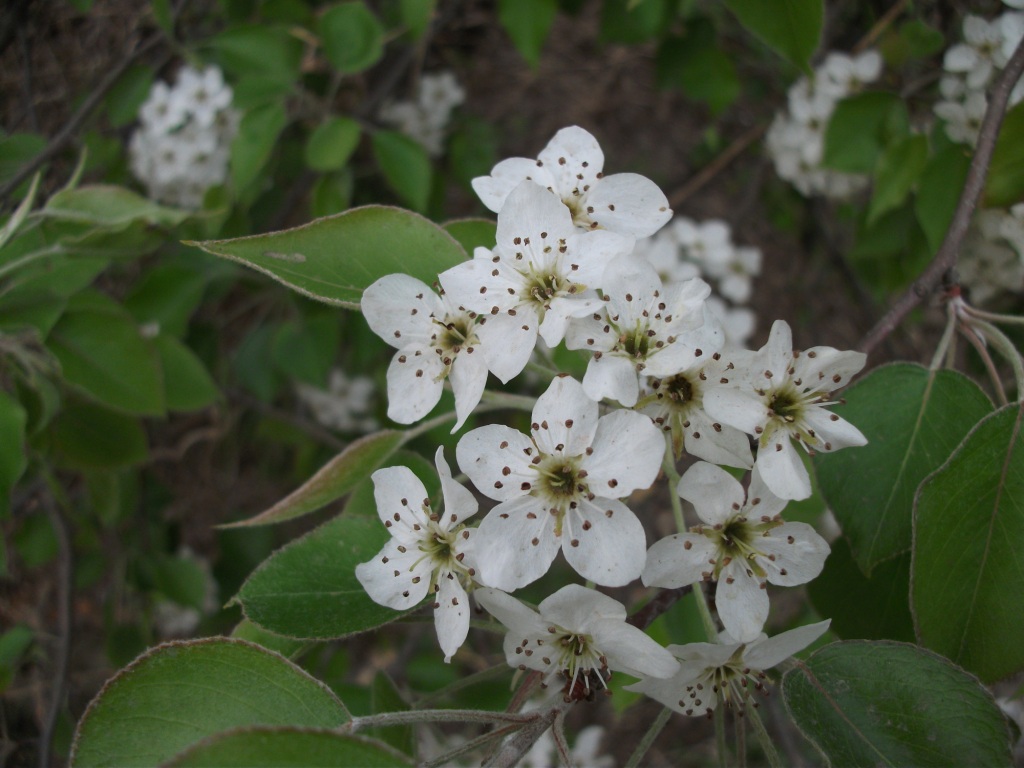 DSCF5756.JPG