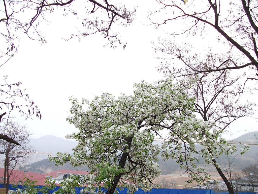 DSCF5759.JPG