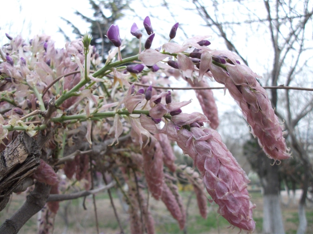 DSCF5770.JPG