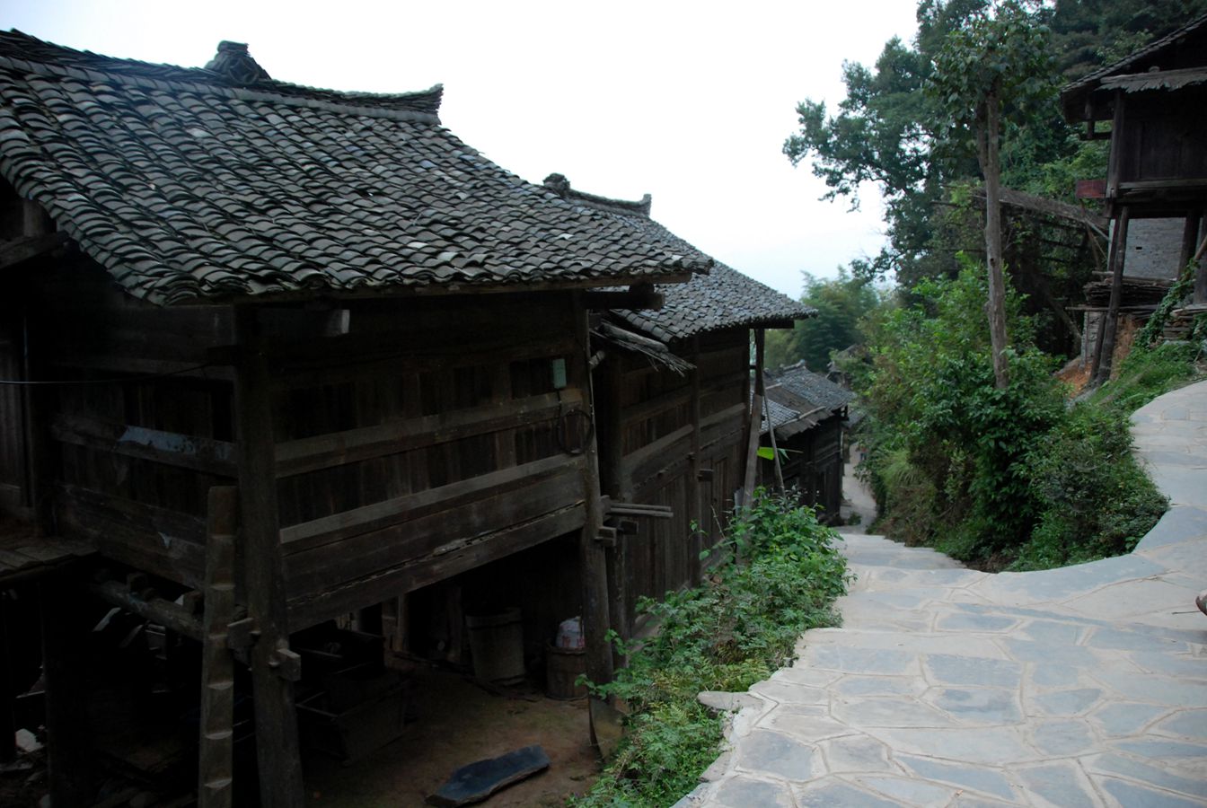 DSC_9824.jpg
