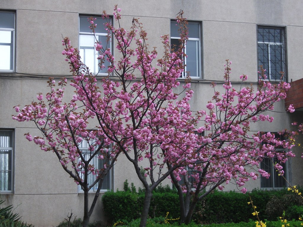 DSCF5775.JPG