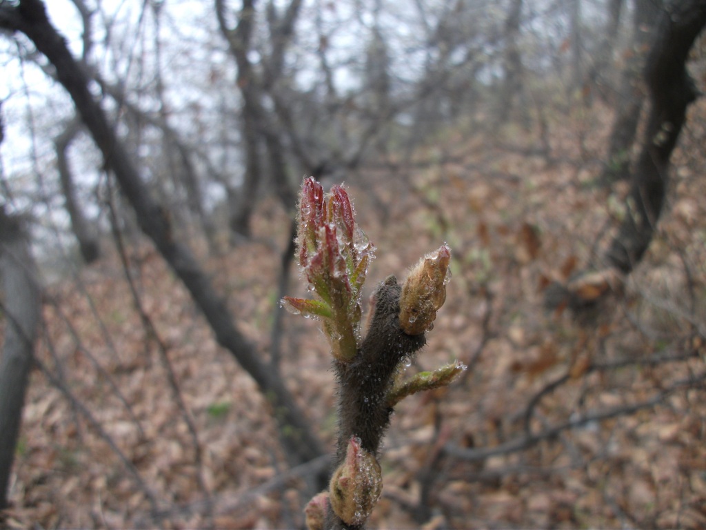 DSCF5781.JPG