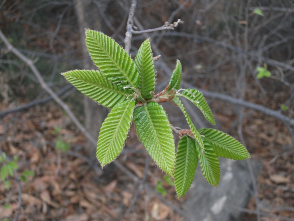 DSCF5786.JPG