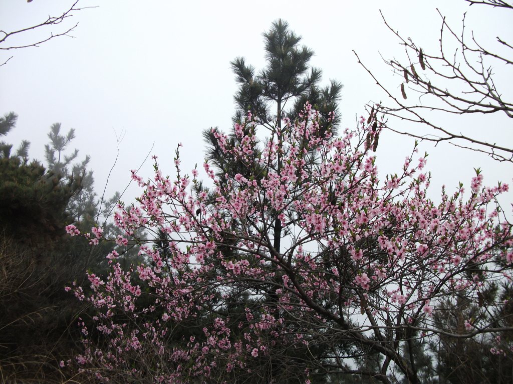 DSCF5789.JPG