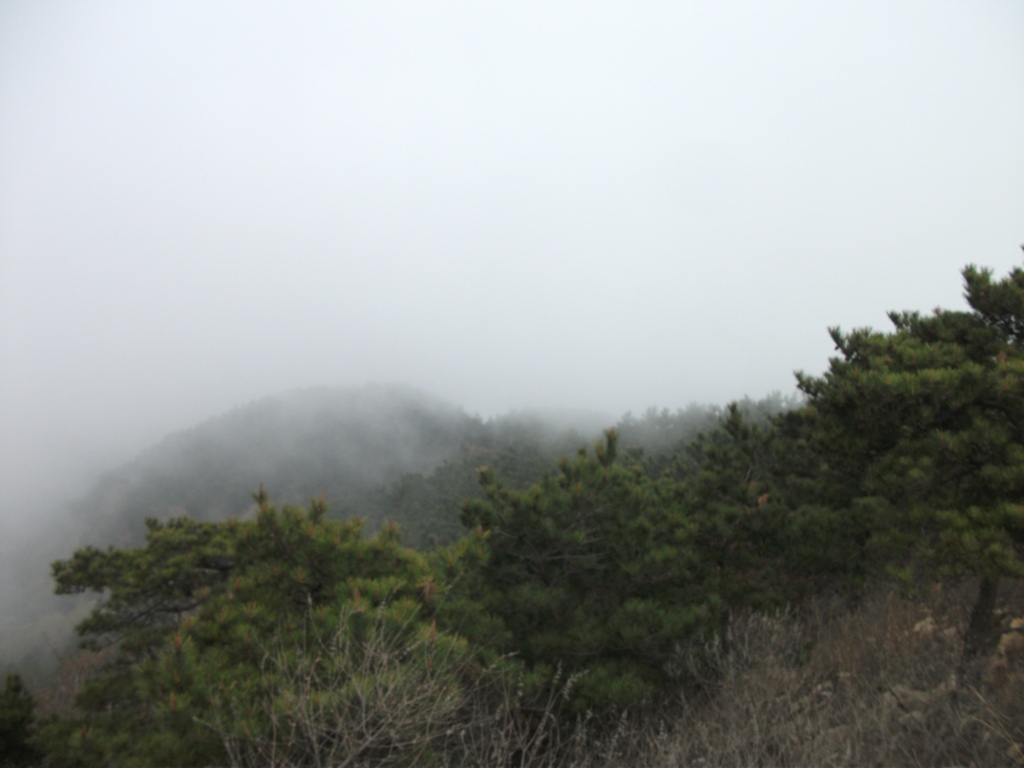 DSCF5790.JPG
