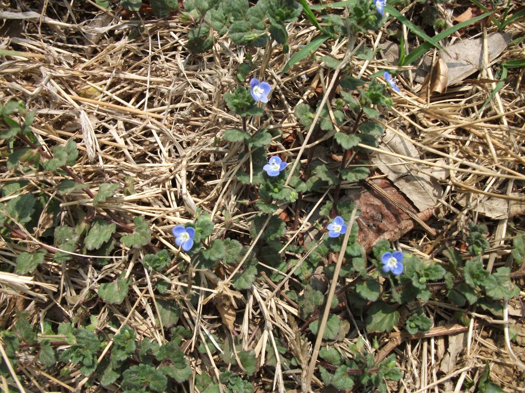 DSCF5793.JPG