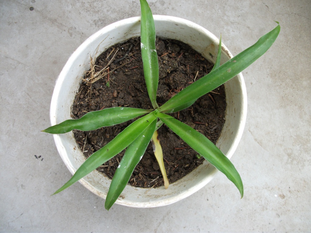 DSCF5804.JPG