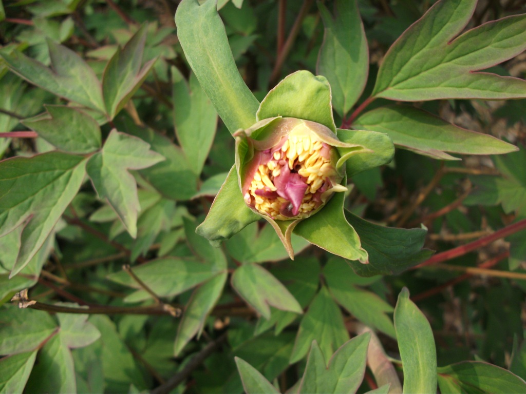 DSCF5806.JPG